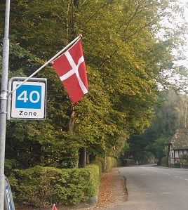 Enkelt Flag